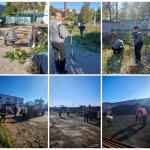 Более 100 сотрудников МУП «Янтарь ДВ» вышли на субботник